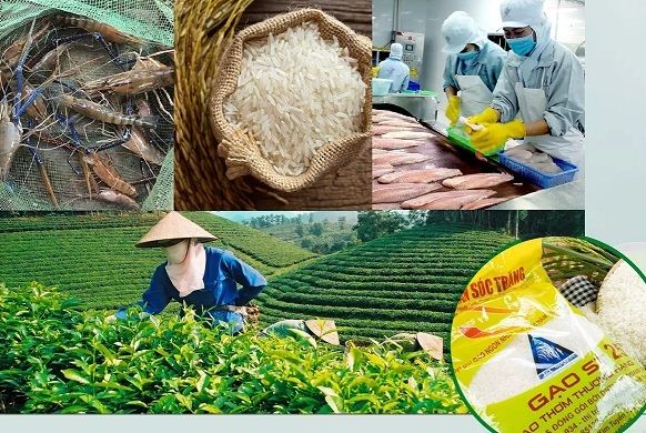 ⓒ Vietnam Net ⓒ Vietnam Net